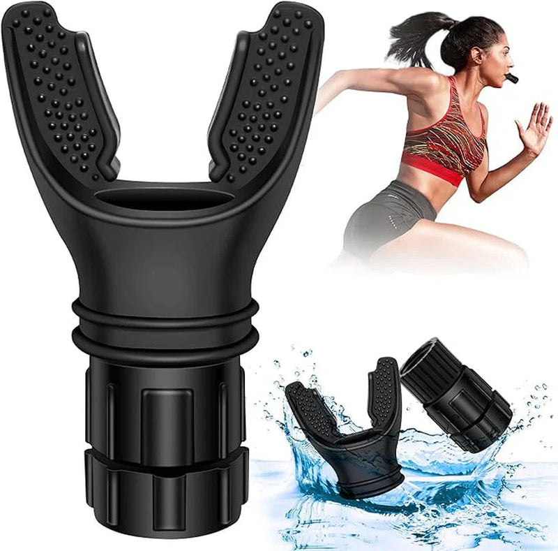 Exercise & Recovery Collection